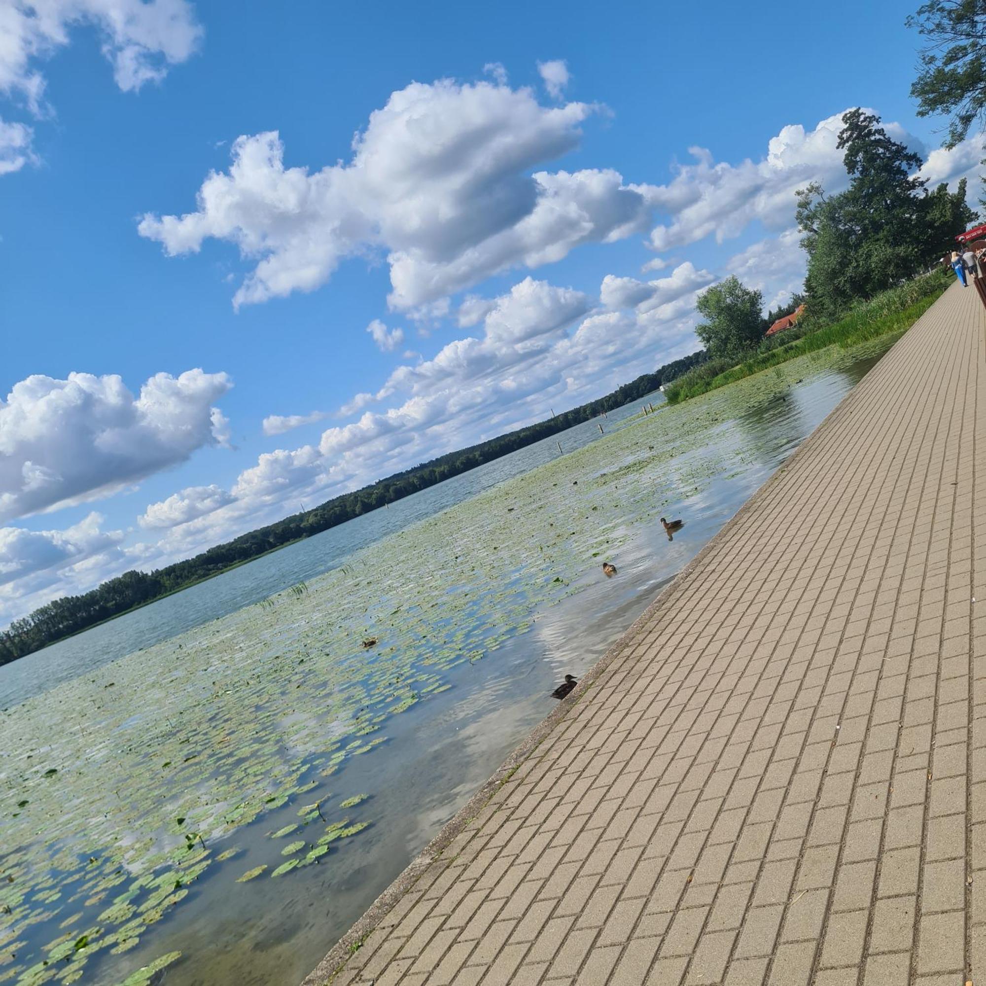 Klar